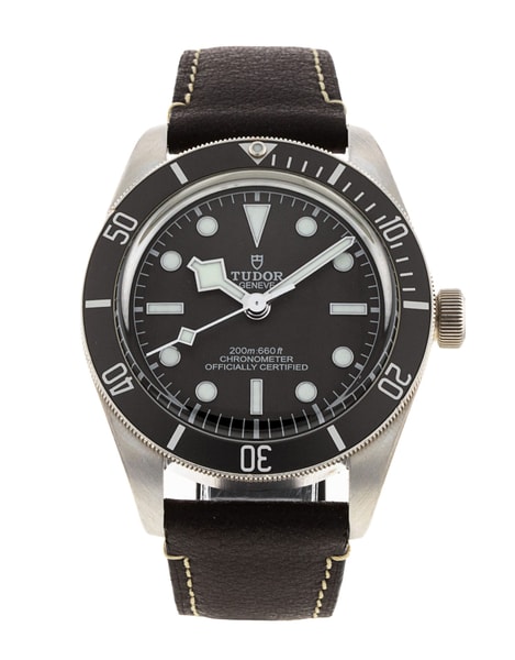 Tudor Black Bay 58 M79010SG-0001